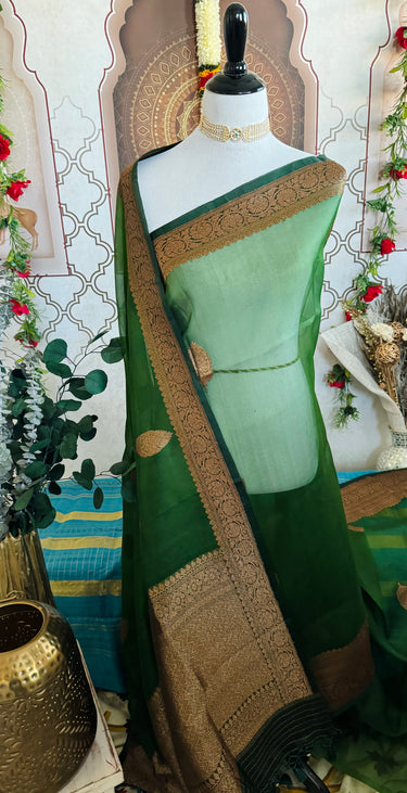 Sheer Lightweight Organza Silk Saree with Tussar Silk Border | Antique Zari | Shade of Forest Green | Handwoven | Ships from California